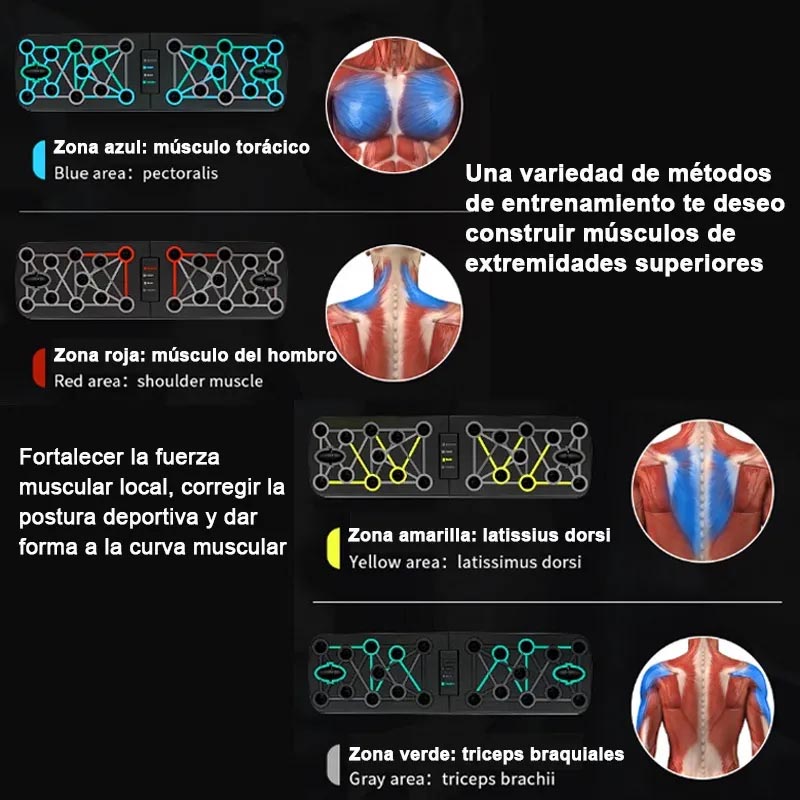 Tablero Push Up Lagartijas Flexiones